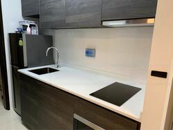 Sims Urban Oasis (D14), Condominium #434724721